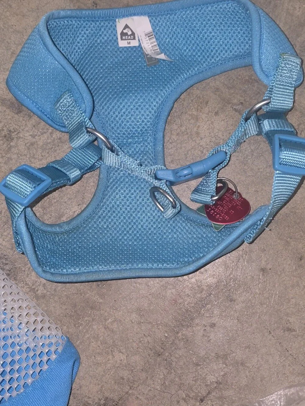 Light Teal Padded Dog Harness with Adjustable Straps